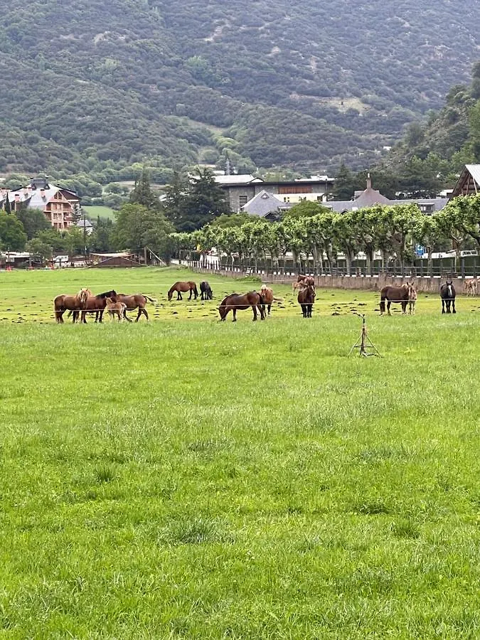 公寓 里亚尔普Duplex En El Pirineo公寓